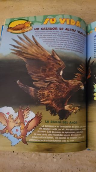 El Mundo de los Animales Disney - Las Águilas