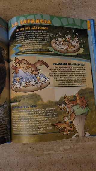 El Mundo de los Animales Disney - Las Águilas