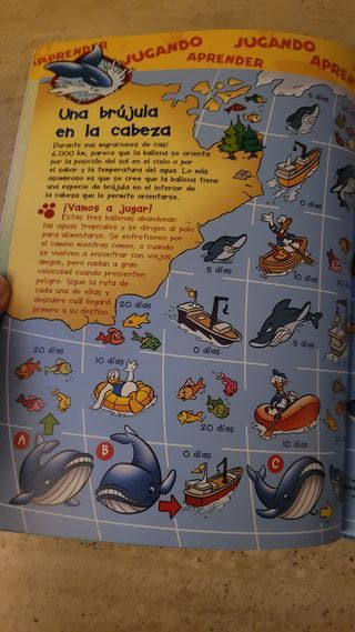 Libro El Mundo de los animales Disney Las ballenas