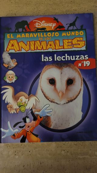 El mundo de los animales Disney Las lechuzas 
