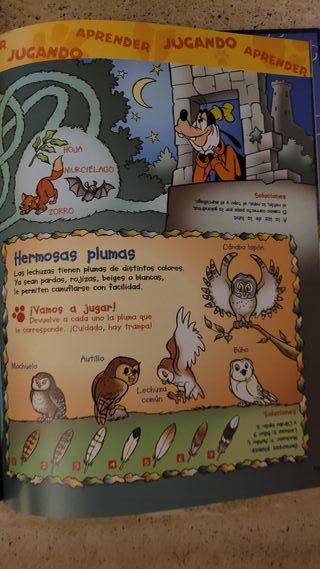 El mundo de los animales Disney Las lechuzas 
