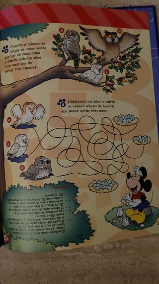 El mundo de los animales Disney Las lechuzas 