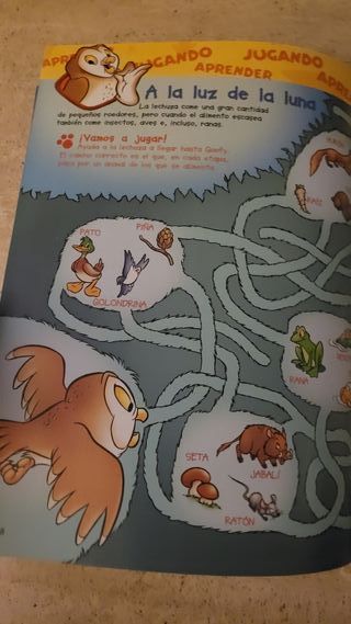 El mundo de los animales Disney Las lechuzas 