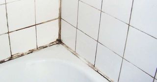 Repara fugas y moho en tu ducha desde 40€