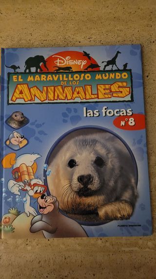 El mundo de los animales Disney Las focas 