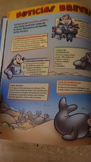 El mundo de los animales Disney Las focas 
