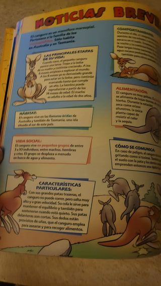 El mundo de los animales Disney Los canguros