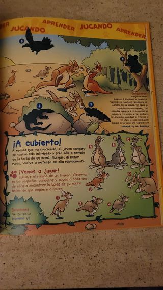 El mundo de los animales Disney Los canguros