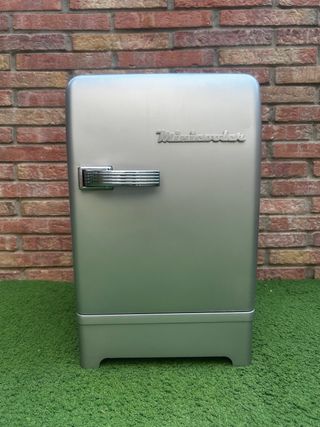 Nevera furgo 12V/220V