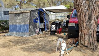 Comanche con papeles, necesita reparación