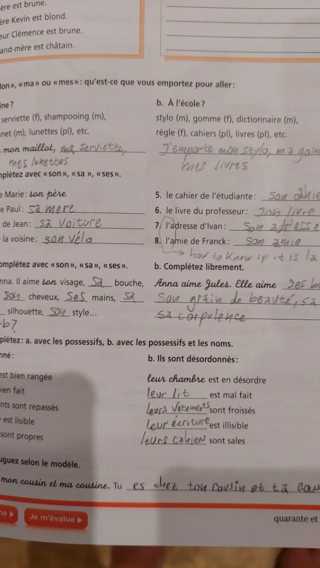 Grammaire Progressive du Francais, Intermediare...