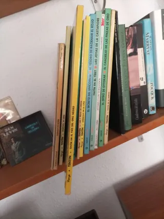 Tintín en el pais del Oro Negro (cartoné)