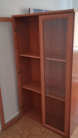 Vitrina/Librería Madera Puertas Cristal