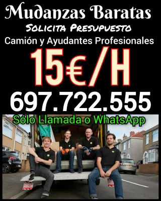 Mudanzas Profesional