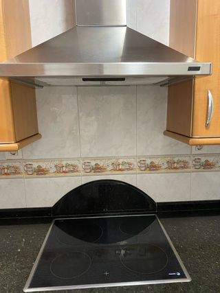 Placa Vitrocerámica Fagor y Campana