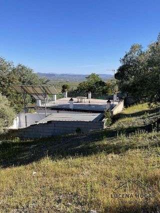 Terreno en venta en Lucena