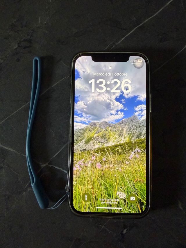 iPhone 12 256GB iOS 16 TrollStore