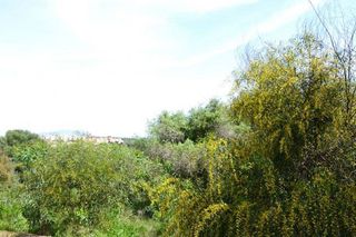 Solar en venta en Sotogrande Alto en San Roque