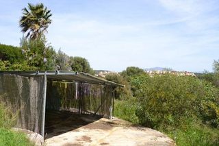 Solar en venta en Sotogrande Alto en San Roque