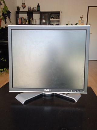 Pantalla Dell 19 Plata/Negro