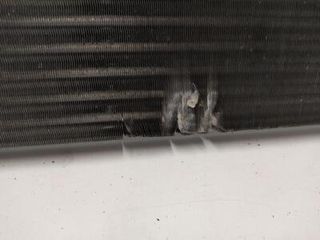 8200008764 Radiador Agua para RENAULT LAGUNA II (BG0) Authentique 2004 118250