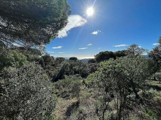 Terreno en venta en Cavall Bernat - Cala Rovira en Castell-Platja d´Aro