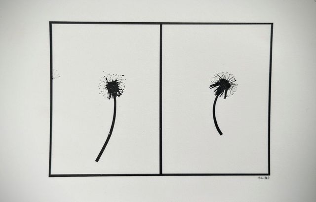 10 foto Erbe e foglie St.G&Thompson