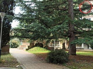 Oficina en alquiler en Ermitagaña - Mendebaldea en Pamplona