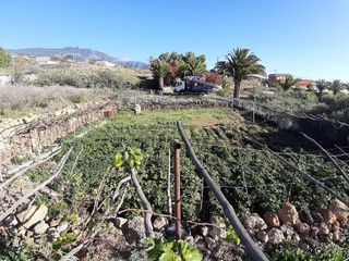 Terreno en venta en Arafo