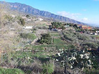 Terreno en venta en Arafo