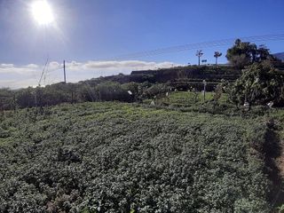 Terreno en venta en Arafo