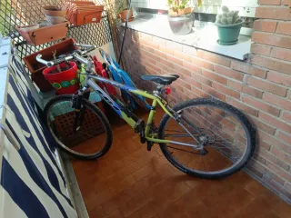 Bicicleta de Montaña BH