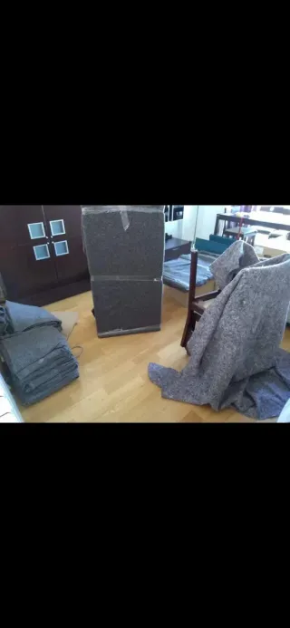 PORTES Y MUDANZAS 