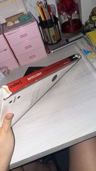 Llengua catalana i literatura, 1 Batxillerat 2017