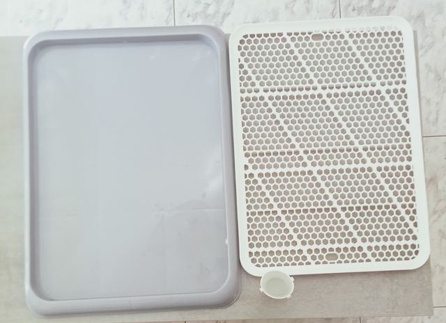 Vasino per cuccioli con asta