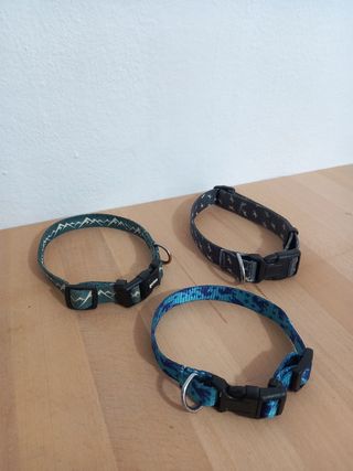 Lote 3 collares para perro y cinturon coche
