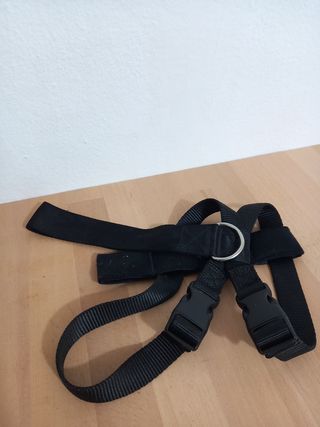 Lote 3 collares para perro y cinturon coche