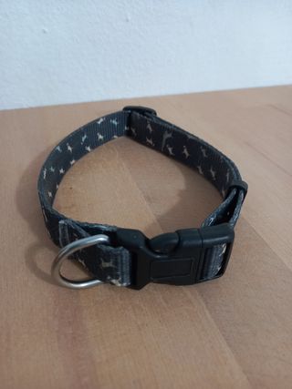 Lote 3 collares para perro y cinturon coche