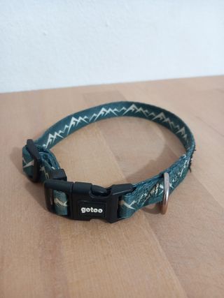 Lote 3 collares para perro y cinturon coche