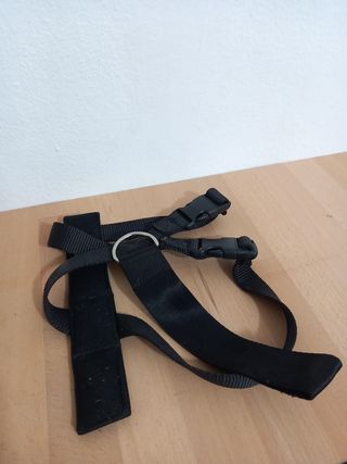 Lote 3 collares para perro y cinturon coche