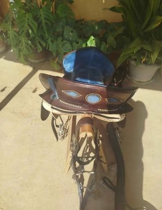 Montura Menorquina, precio negociable

