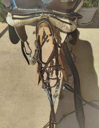 Montura Menorquina, precio negociable

