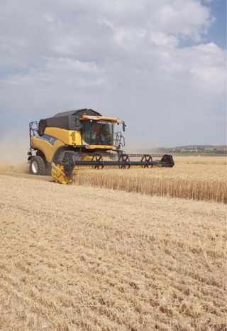 New Holland CR9060 Cosechadora