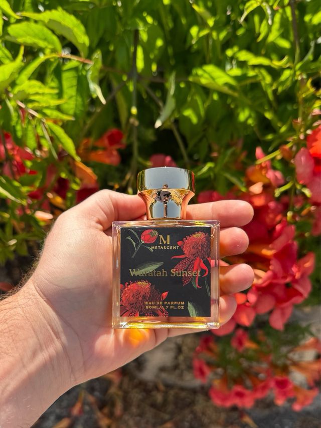 METASCENT Waratah Sunset Eau de Parfum 50ml