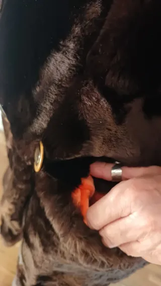 Abrigo de mutón marrón