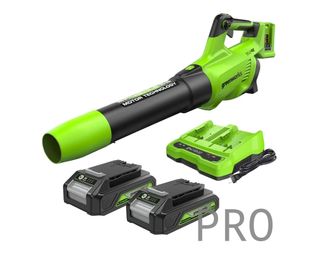  Greenworks Soplador de hojas inalámbrico
