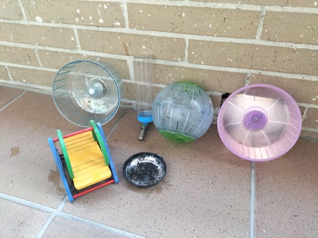 Accesorios Hámster