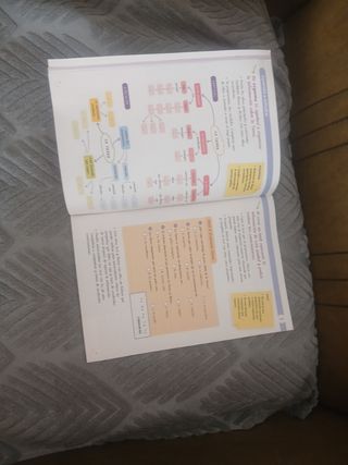 GEOGRAFIA E HISTORIA 1 ESO CONSTRUYENDO MUNDOS