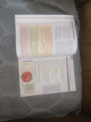 GEOGRAFIA E HISTORIA 1 ESO CONSTRUYENDO MUNDOS