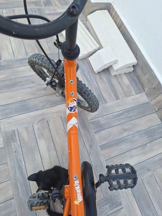 Bicicleta infantil 16 naranja